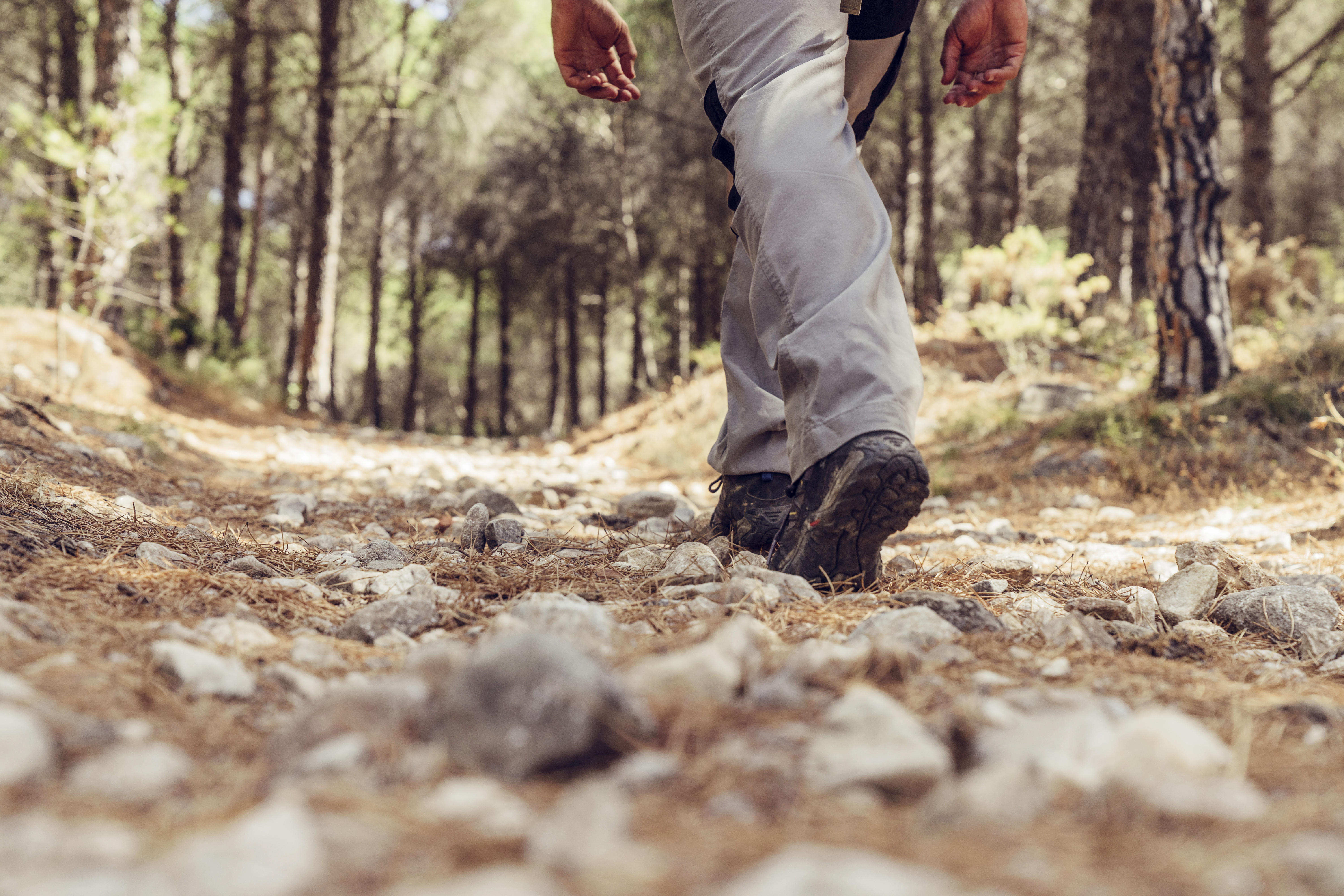 Trail runners on Camino terrain