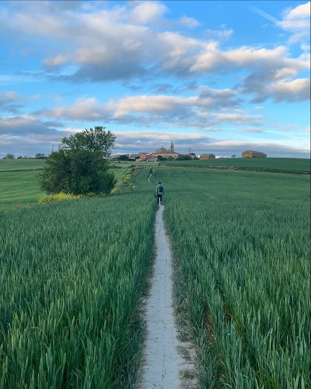 A pilgrim walking a narrow trail through green wheat fields toward a village on the Camino de Santiago
