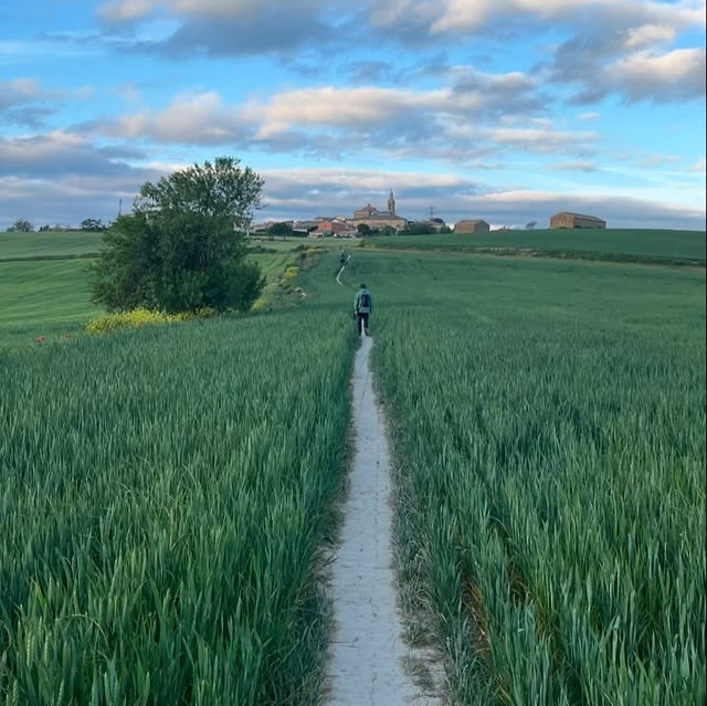 A pilgrim walking a narrow trail through green wheat fields toward a village on the Camino de Santiago